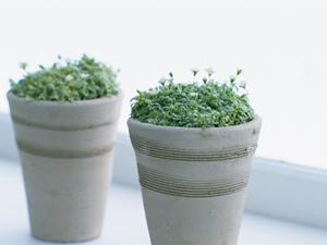 大阪HDCショールームで体感する高品質キッチン・バスルーム・洗面台の最新展示と便利なサービス