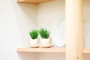 神奈川県横浜エリア最大規模！タカラスタンダード横浜ショールームの魅力と店舗情報